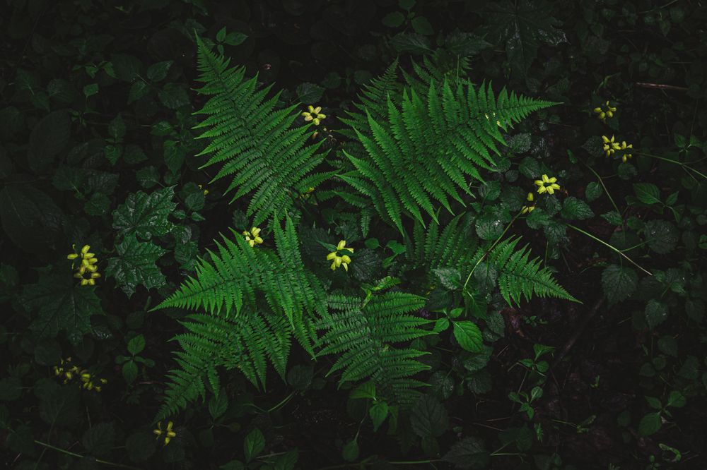 Фотография автора Наволокин Михаил