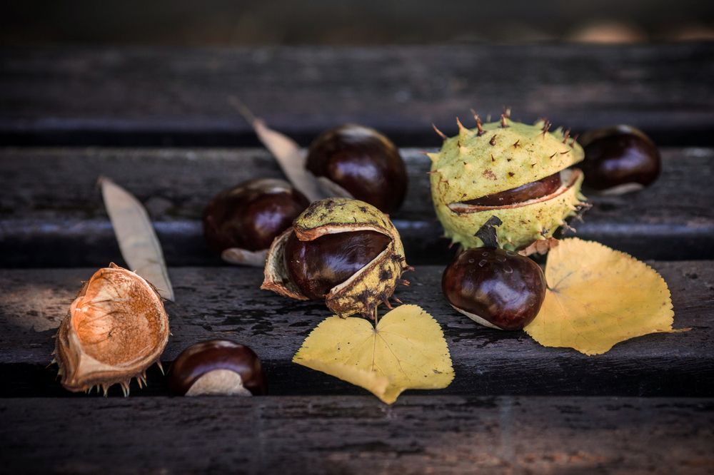 Photograph by Евгения Калашникова