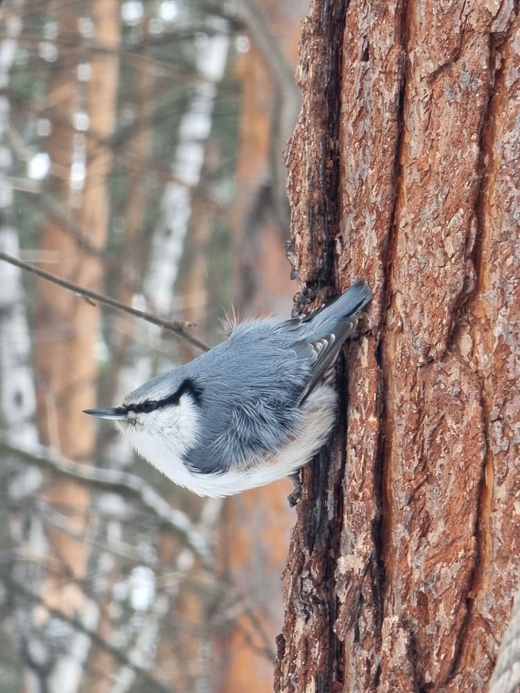 Photograph by Лилия Шарифуллина