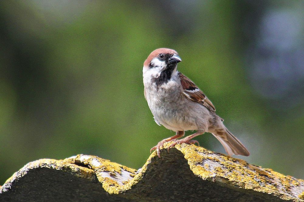 Photograph by Vitaliy Saposhnikov