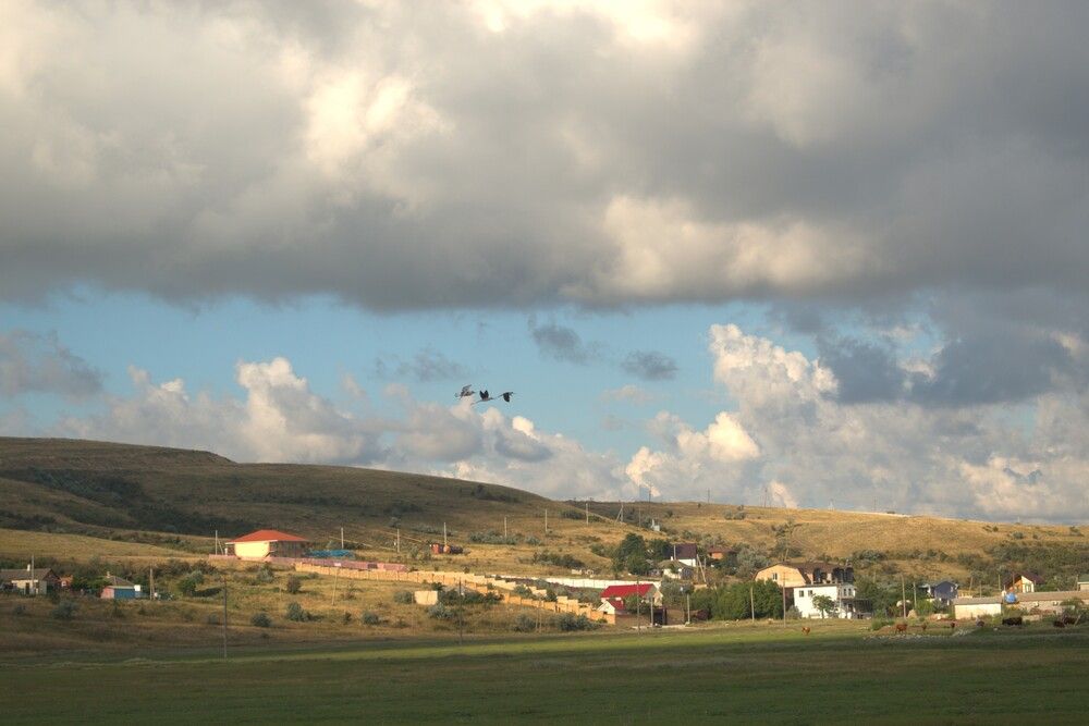 Photograph by Владимир Жигулин