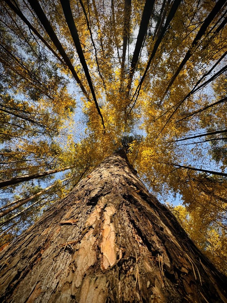 Photograph by Ксения Юртаева