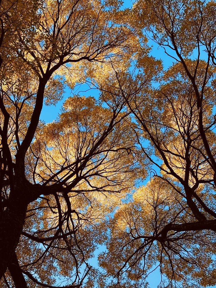 Photograph by Ксения Юртаева