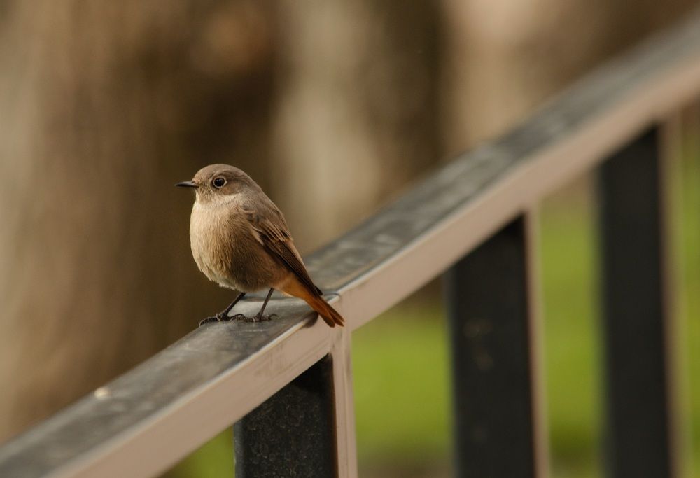 Photograph by Ирина Курицына