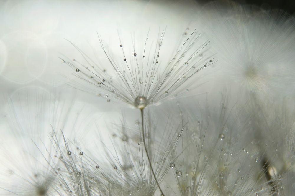 Photograph by Ирина Курицына