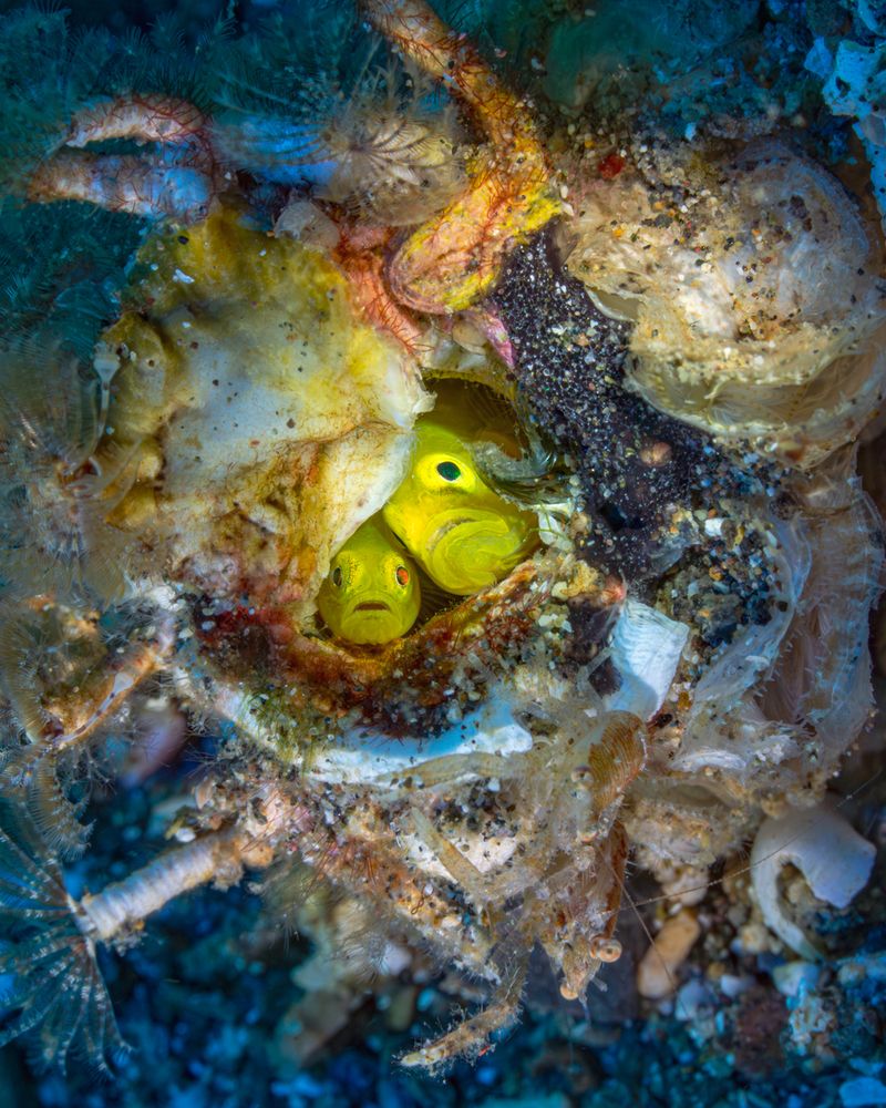 Photograph by Shinto K Anto