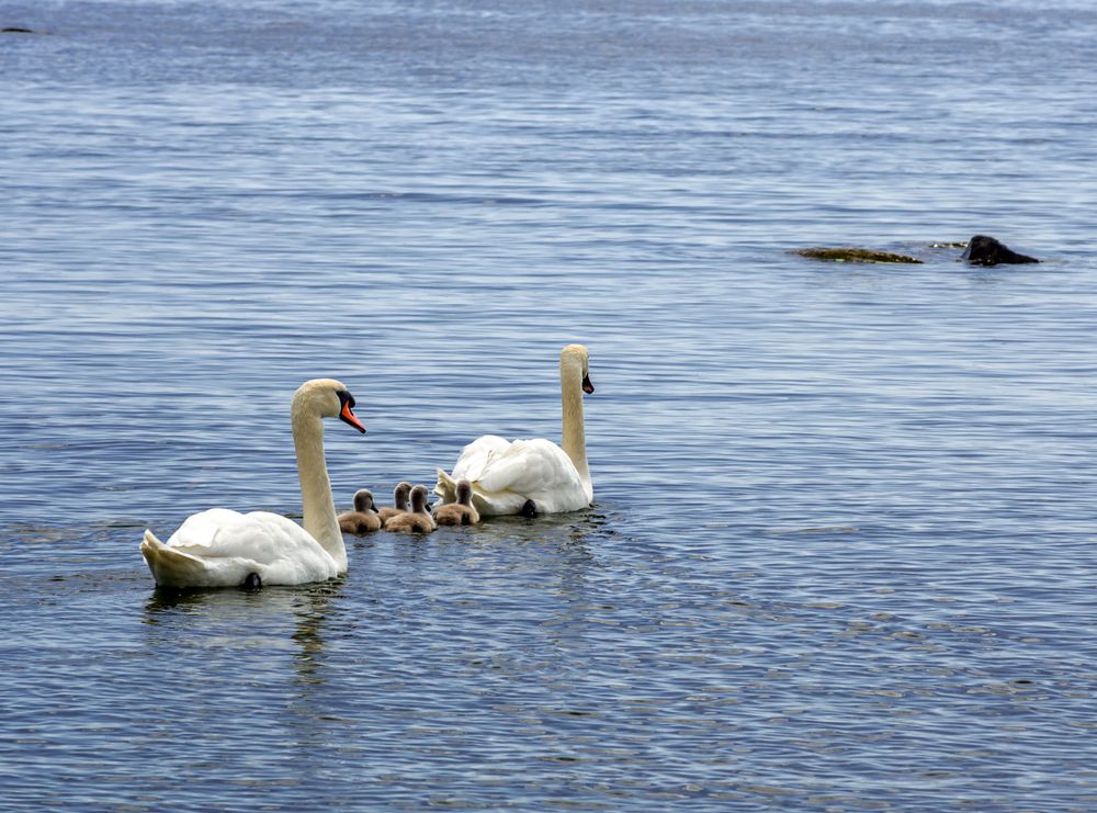 Photograph by Gennadiy Slezkin