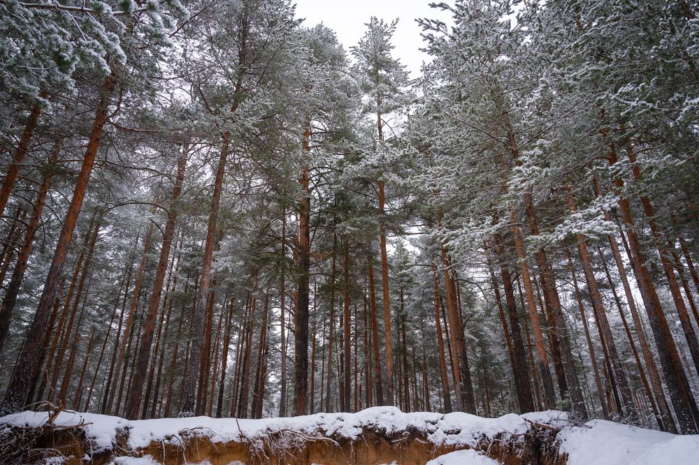 Photograph by Дмитрий Спорышев