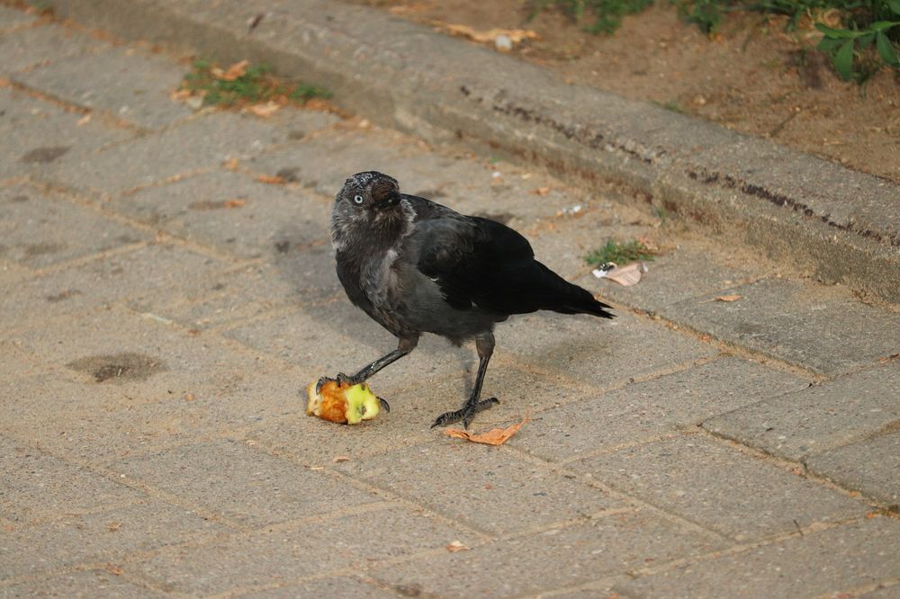 Photograph by Алексейчик Дмитрий