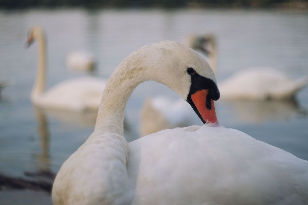 Photograph by Вадим