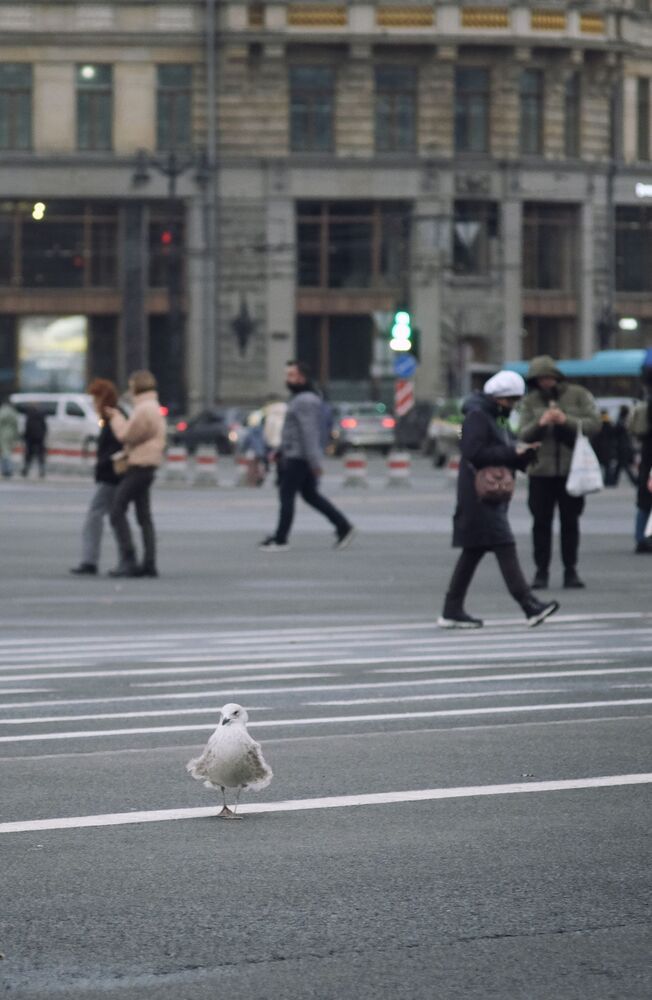 Photograph by Вадим