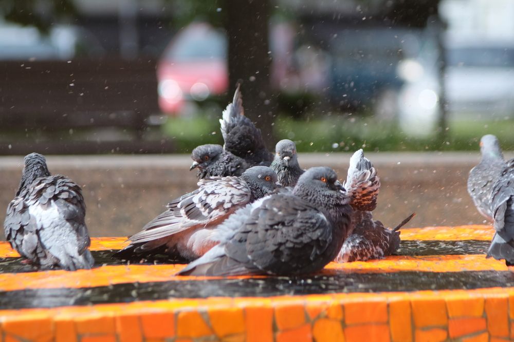 Photograph by Вадим