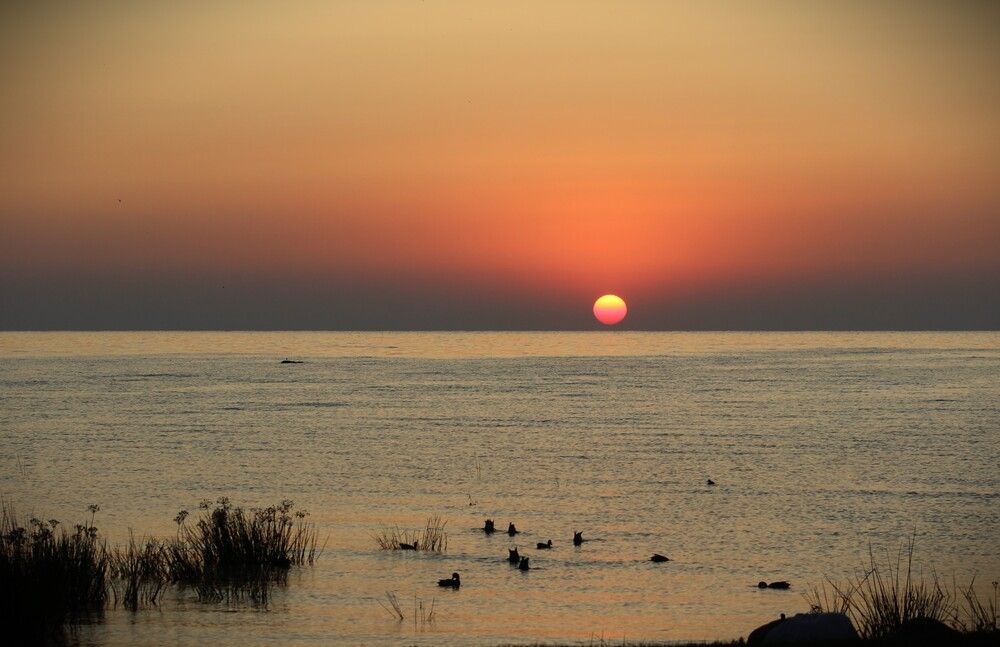 Photograph by ILONA OTRUTSKAYA