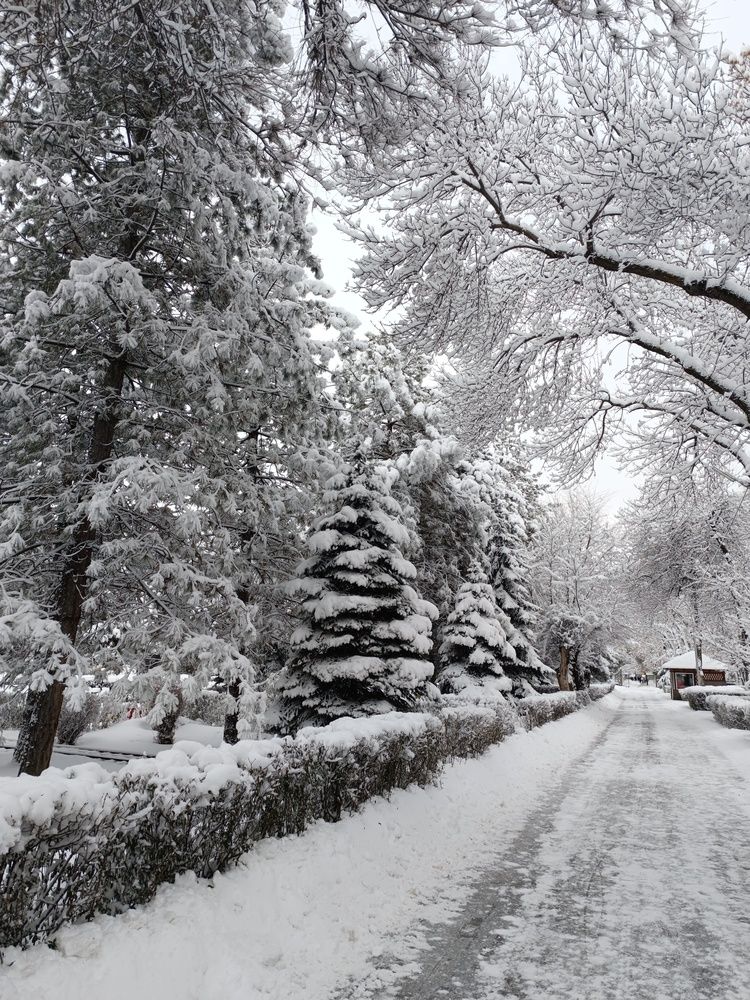 Фотография автора Владимир