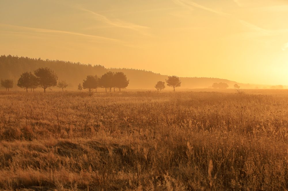 Photograph by Sergey Kudryashov