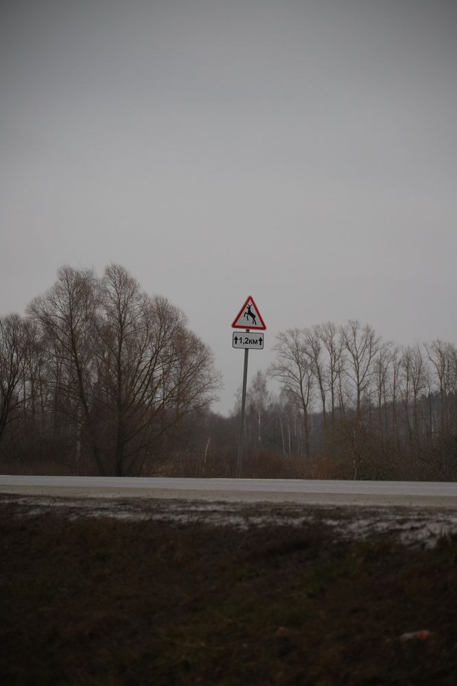 Фотография автора Роман Савин