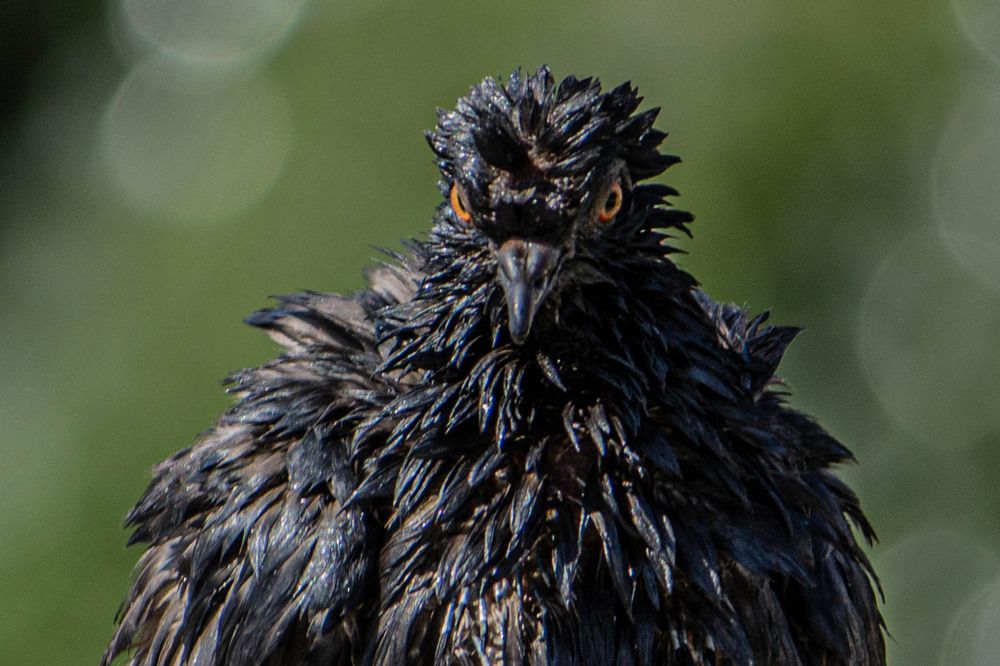 Photograph by Ольга Ильина