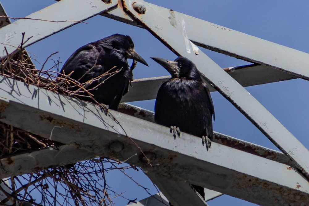 Photograph by Ольга Ильина