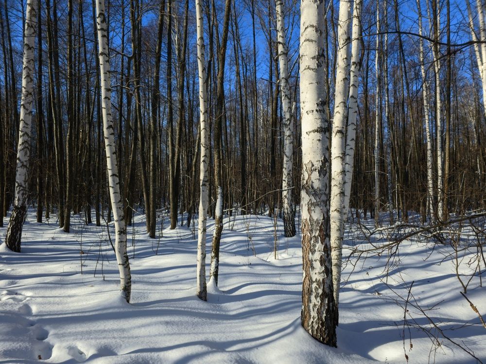 Photograph by Сергей Горбунов