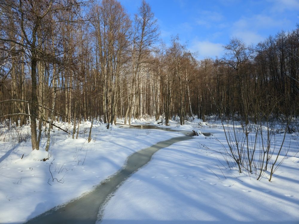 Photograph by Сергей Горбунов