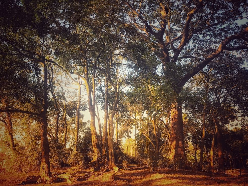 Фотография автора Washiful Majid