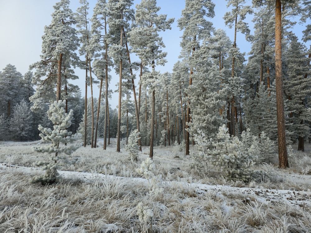 Photograph by Сергей Горбунов