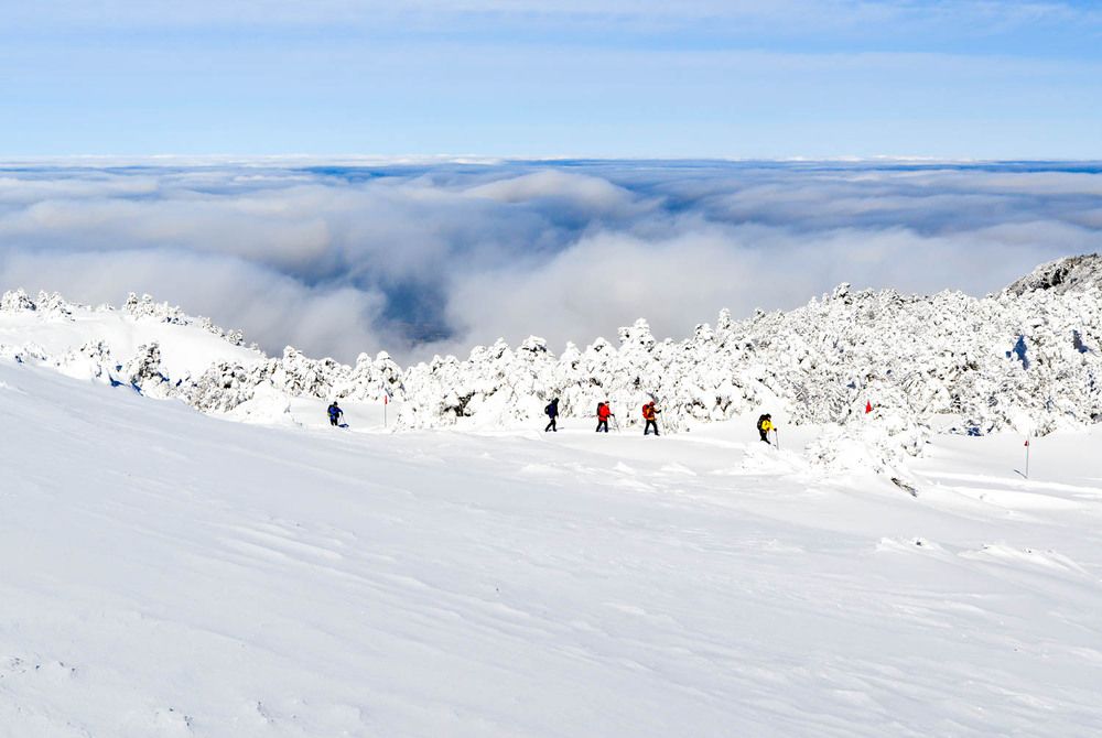 Photograph by Myunggyu Bae