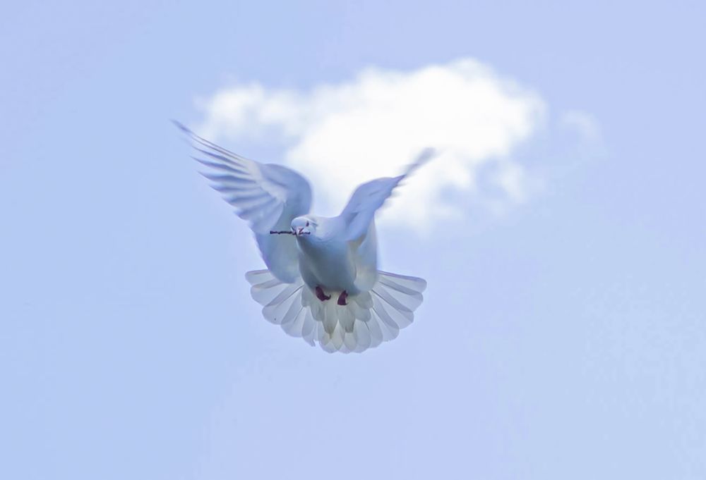 Photograph by Ольга Ильина