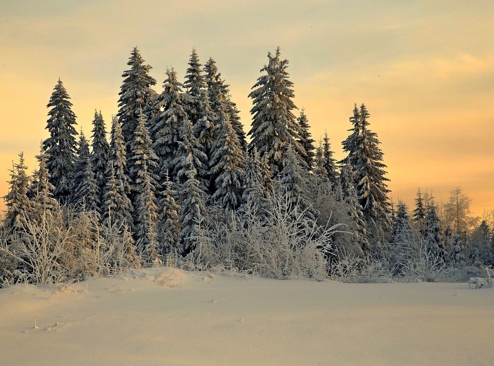 Фотография автора Юрий Кетель