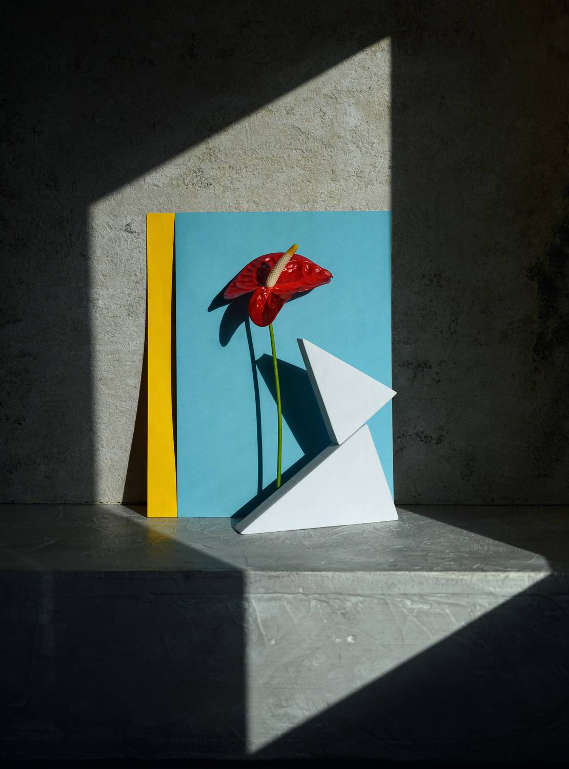 Фотография #11807316