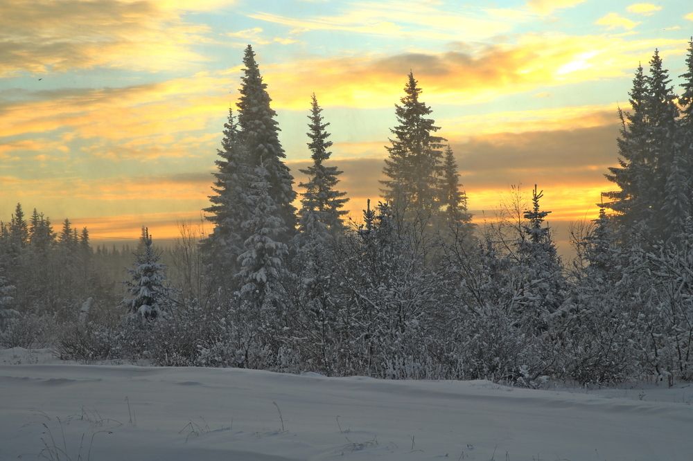 Фотография автора Юрий Кетель