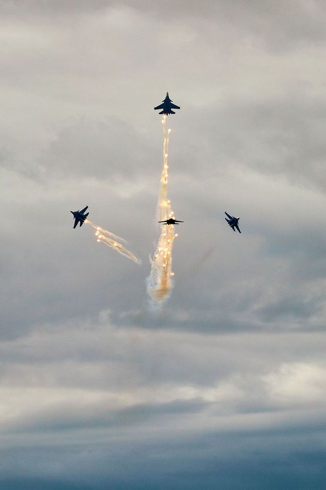 Фотография автора Totoro