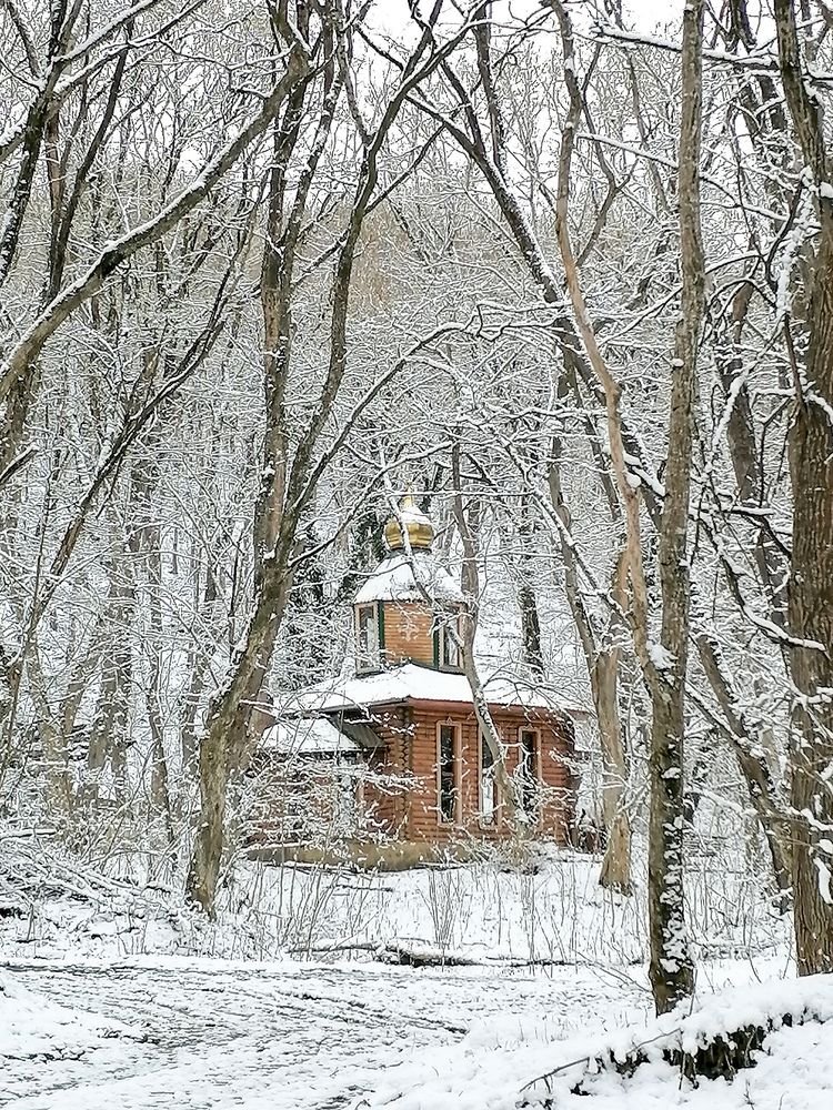 Photograph by Наталия