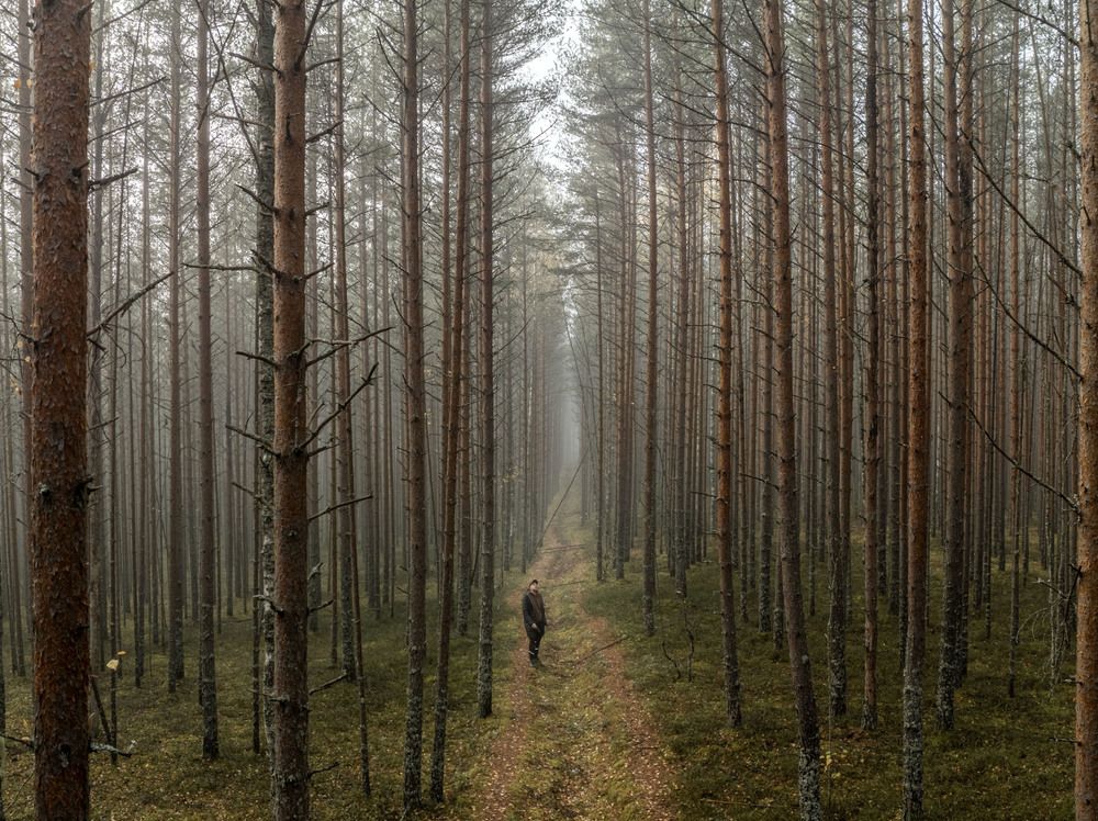 Photograph by vladimir