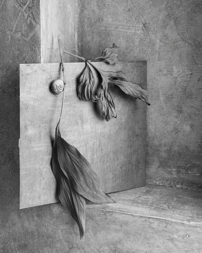 Фотография автора Елена Хазина