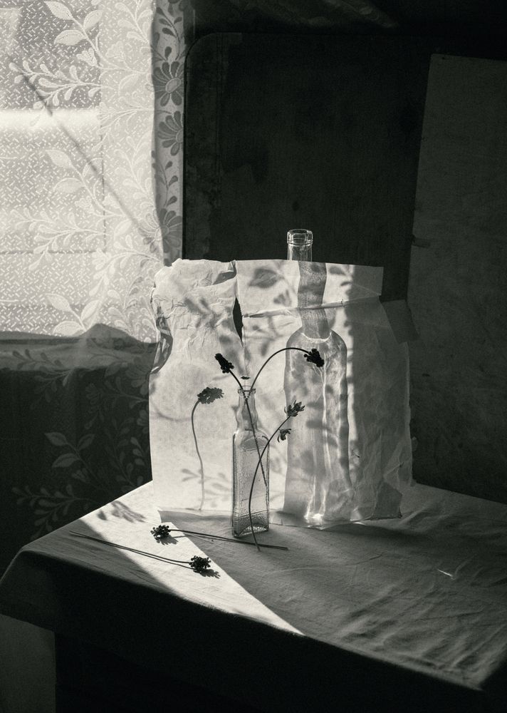 Фотография автора Елена Хазина