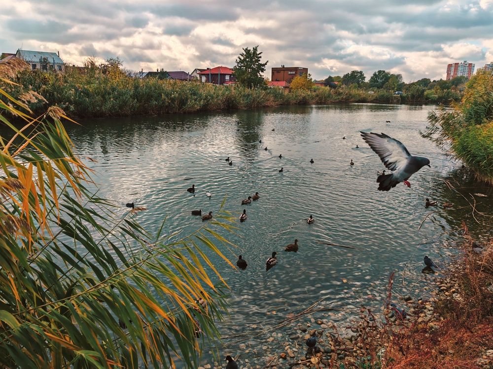 Фотография автора OXANA MARSOVA