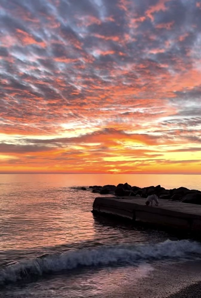 Photograph by Теодора Милекич