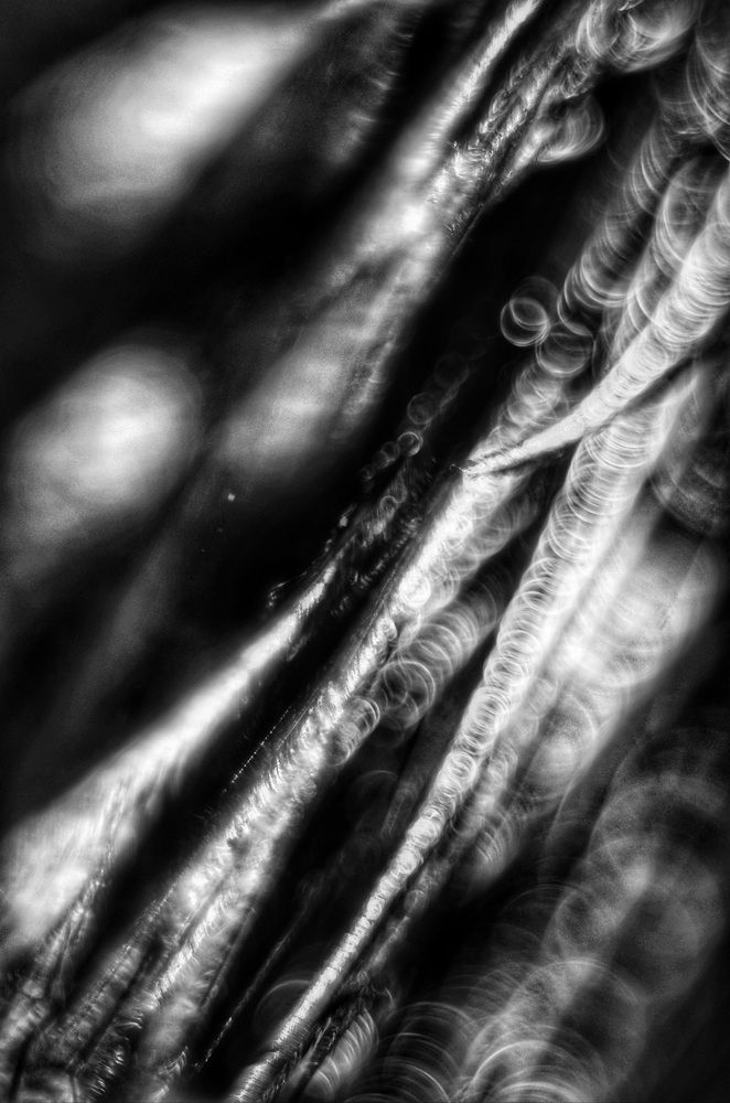 Photograph by Ирина Курицына