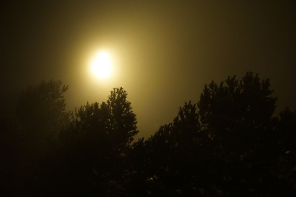 Photograph by Sergei Novikov