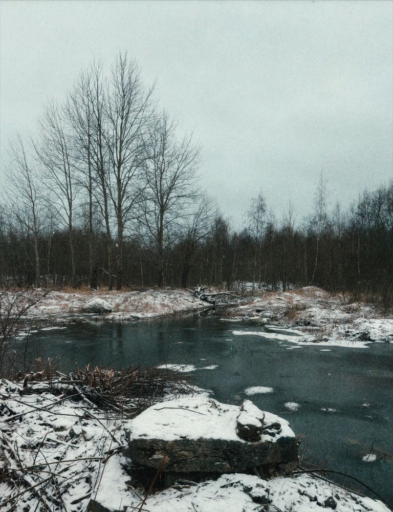 Photograph by Sergei Novikov