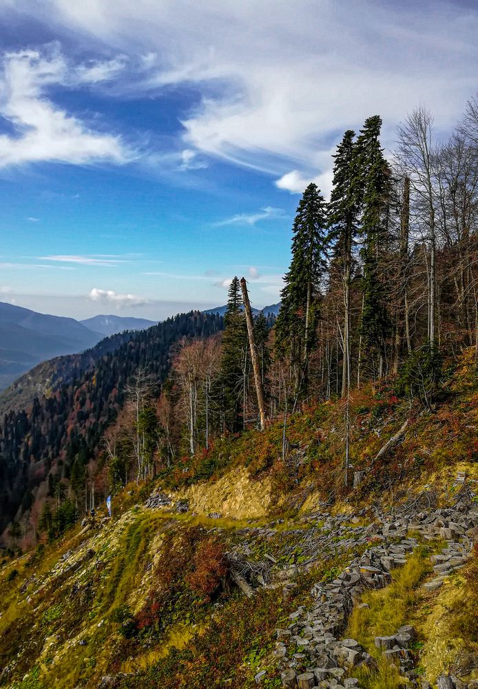 Photograph by Наталья Алехина