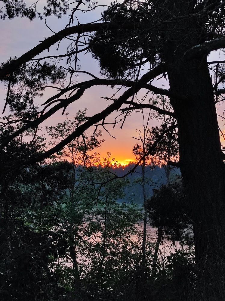 Фотография автора Рузинова Елена