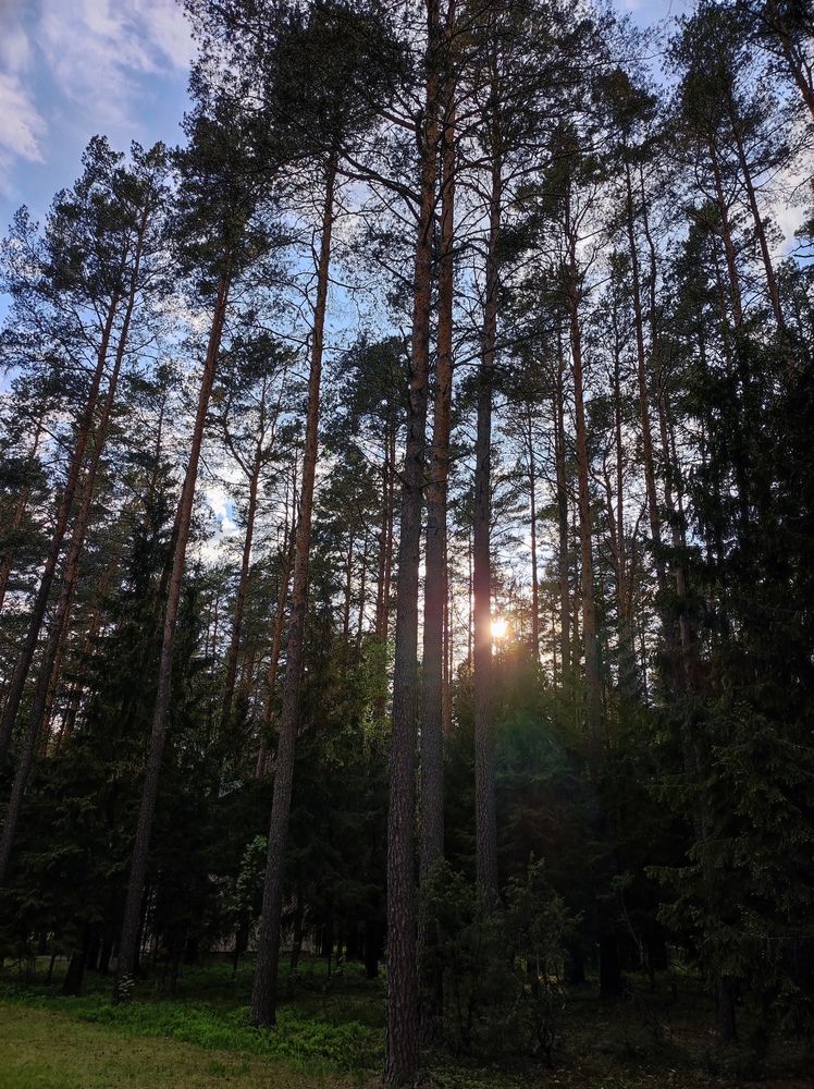 Фотография автора Рузинова Елена