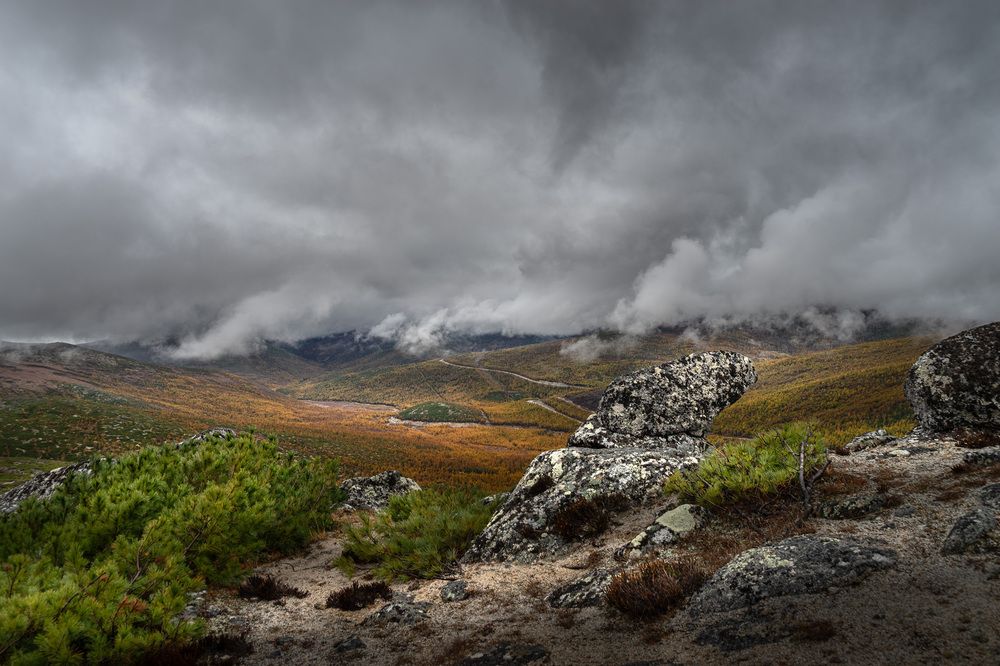 «Шаманские Камни»