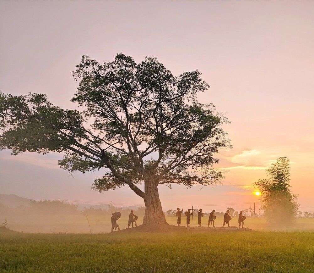 Photograph by Tran Phuong