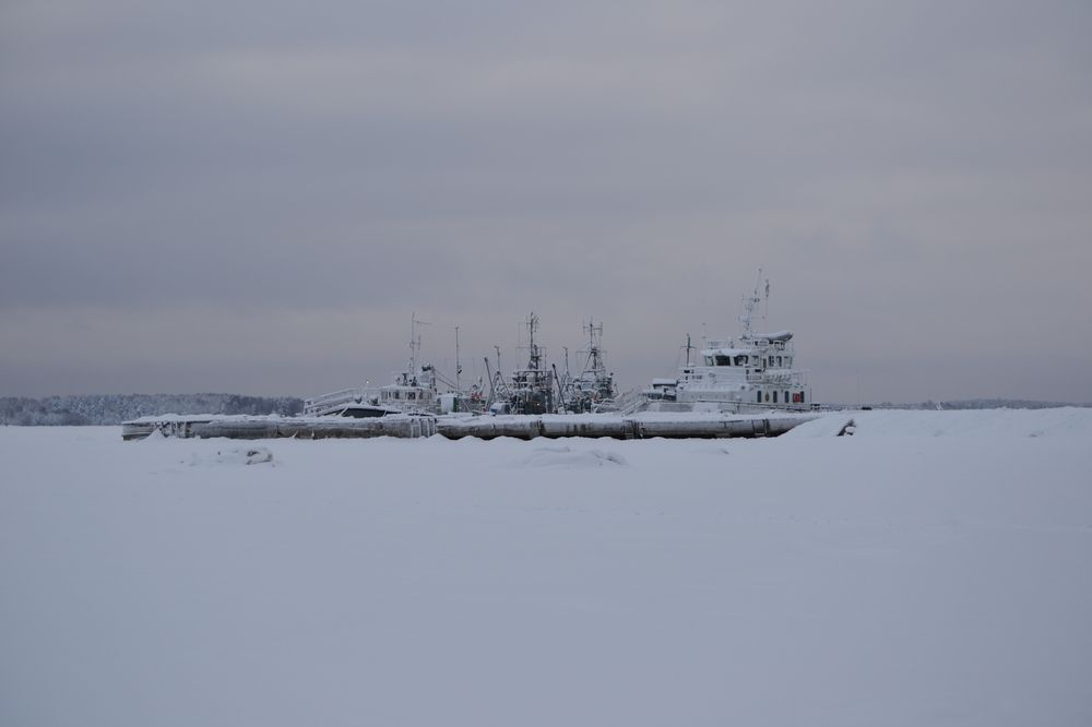 Photograph by Анна Голубова