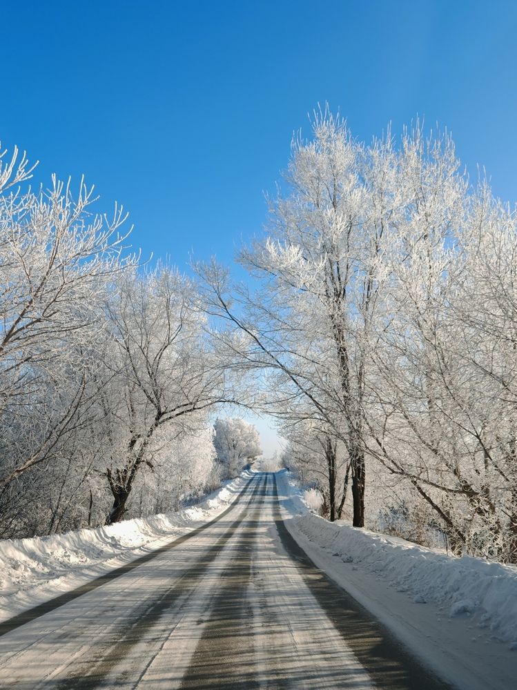 Фотография автора Ольга Крынина