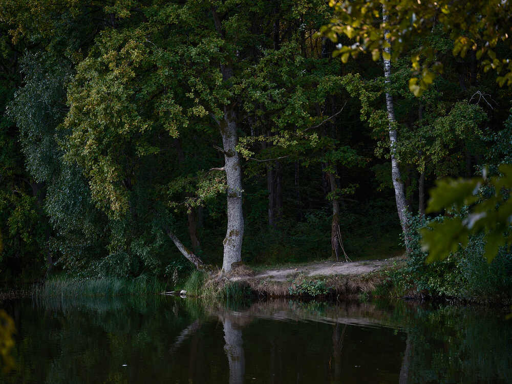 Photograph by Леонид Якутин