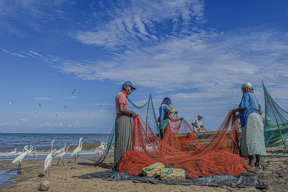Фотография автора Manjula Perera